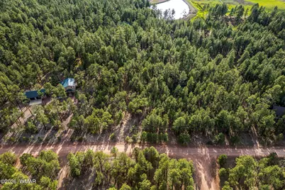 15 County Road 2083, Alpine, AZ 85920 - Photo 6