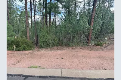 1680 W Snow Creek Loop, Show Low, AZ 85901 - Photo 1