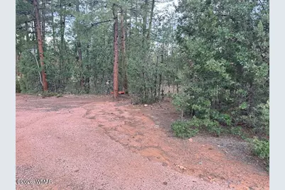 1680 W Snow Creek Loop, Show Low, AZ 85901 - Photo 4