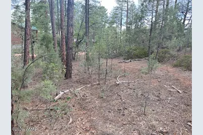 1680 W Snow Creek Loop, Show Low, AZ 85901 - Photo 6