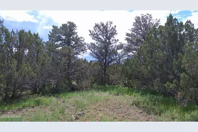 19 N3133, Vernon, AZ 85940 - Photo 24