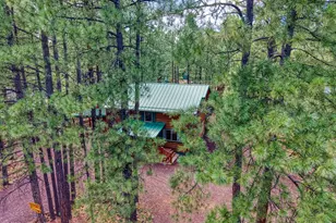 6436 Mark Twain Dr, Pinetop, AZ 85935 - Photo 26