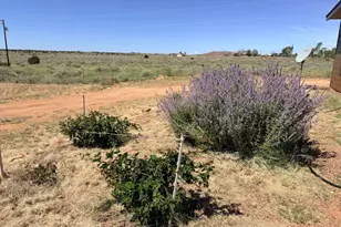 3640 N 5th St, Snowflake, AZ 85937 - Photo 44