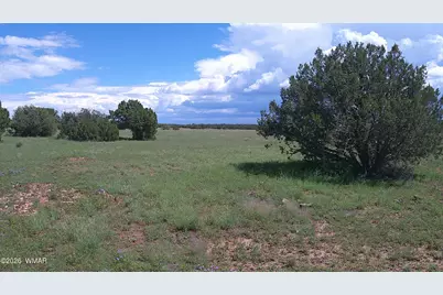 8583 Pine Lane, Show Low, AZ 85901 - Photo 1