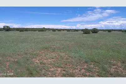 8583 Pine Lane, Show Low, AZ 85901 - Photo 22