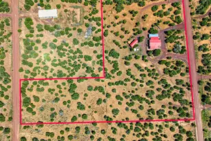 59 Harry Dr, Concho, AZ 85924 - Photo 2