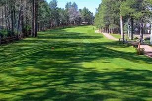5145 Drifting Snow Loop, Pinetop, AZ 85935 - Photo 68