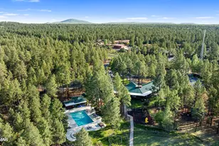 5145 Drifting Snow Loop, Pinetop, AZ 85935 - Photo 56