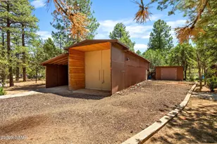 2229 Chevelon Rd, Overgaard, AZ 85933 - Photo 38