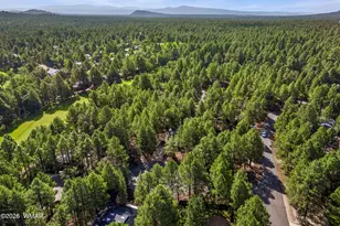 4237 Clear Sky Cir, Pinetop, AZ 85935 - Photo 2