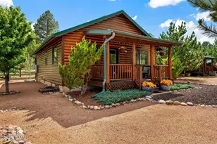 2327 S Buffalo Loop, Overgaard, AZ 85933 - Photo 2