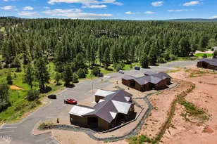 4646 W Tatanka Loop, Show Low, AZ 85901 - Photo 42