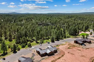 4668 W Tatanka Loop, Show Low, AZ 85901 - Photo 40