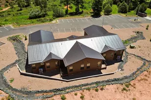 4640 W Tatanka Loop, Show Low, AZ 85901 - Photo 46