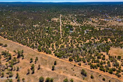 3243 Outlaw Trail, Overgaard, AZ 85933 - Photo 4