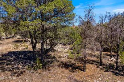 3243 Outlaw Trail, Overgaard, AZ 85933 - Photo 18