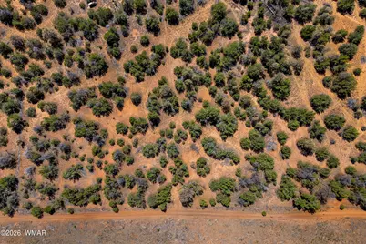 3243 Outlaw Trail, Overgaard, AZ 85933 - Photo 10