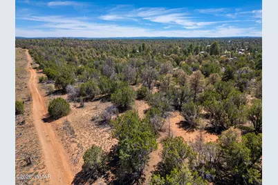 3365 Weese Run, Overgaard, AZ 85933 - Photo 22