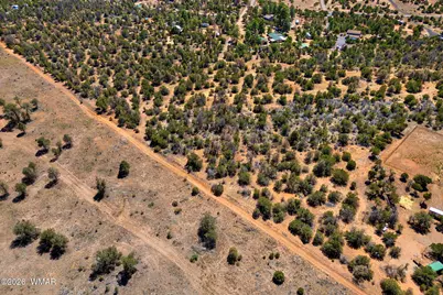 3365 Weese Run, Overgaard, AZ 85933 - Photo 10