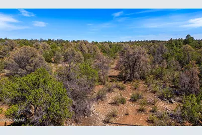 3365 Weese Run, Overgaard, AZ 85933 - Photo 20