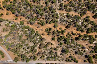 3371 Weese Run, Overgaard, AZ 85933 - Photo 16