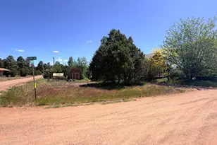 2758 Zane Grey Blvd, Overgaard, AZ 85933 - Photo 56