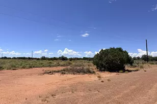 020P White Antelope Rd, Snowflake, AZ 85937 - Photo 1