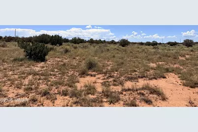 020P White Antelope Road, Snowflake, AZ 85937 - Photo 6