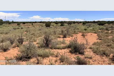 4578 Clear Pass Trail, Snowflake, AZ 85937 - Photo 4