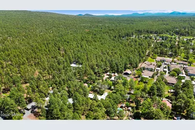 1336 S Penrod Drive, Pinetop, AZ 85935 - Photo 38