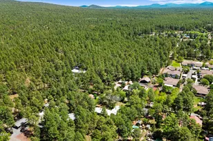 1336 S Penrod Dr, Pinetop, AZ 85935 - Photo 38