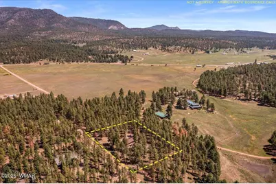 8 Turkey Track Drive, Alpine, AZ 85920 - Photo 34
