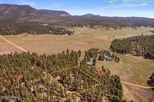 8 Turkey Track Dr, Alpine, AZ 85920 - Photo 34