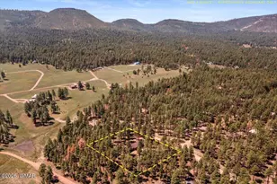 8 Turkey Track Dr, Alpine, AZ 85920 - Photo 32
