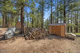 8 Turkey Track Dr, Alpine, AZ 85920 - Photo 4