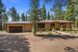 8 Turkey Track Dr, Alpine, AZ 85920 - Photo 2