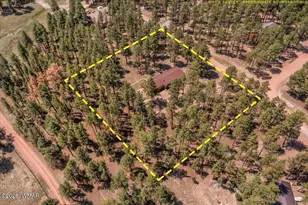 8 Turkey Track Dr, Alpine, AZ 85920 - Photo 28