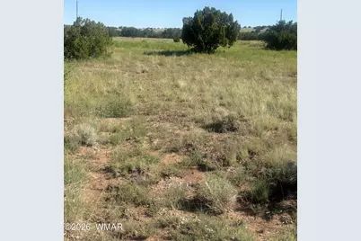 149&amp;151 County Road 5101, Concho, AZ 85924 - Photo 6