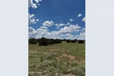 Tbd Eucalyptus Lane, Concho Valley, AZ 85924 - Photo 2