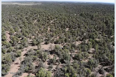 Tbd Bear Run, Unit 205-31-053 #205-31-053, Show Low, AZ 85901 - Photo 4