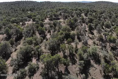 Tbd Bear Run, Unit 205-31-053 #205-31-053, Show Low, AZ 85901 - Photo 8