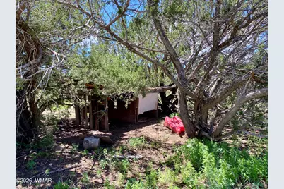 937 Kings High Road, Show Low, AZ 85901 - Photo 34
