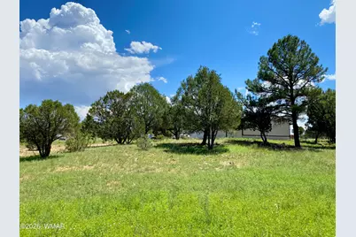 937 Kings High Road, Show Low, AZ 85901 - Photo 30