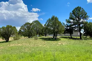 937 Kings High Rd, Show Low, AZ 85901 - Photo 30