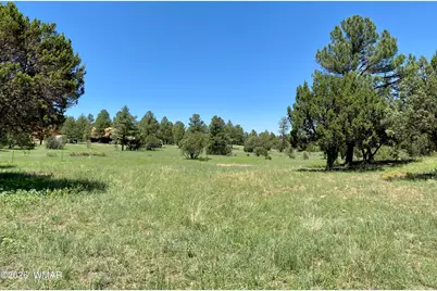 937 Kings High Road, Show Low, AZ 85901 - Photo 28