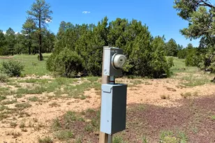 937 Kings High Rd, Show Low, AZ 85901 - Photo 26
