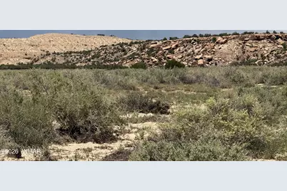G-Barranch Lot 34, Saint Johns, AZ 85936 - Photo 2