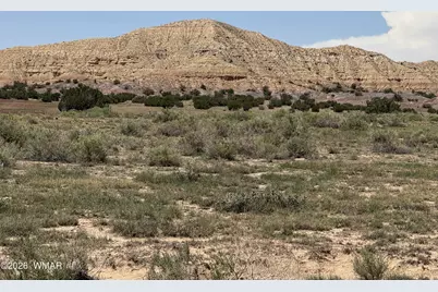G-Barranch Lot 34, Saint Johns, AZ 85936 - Photo 4