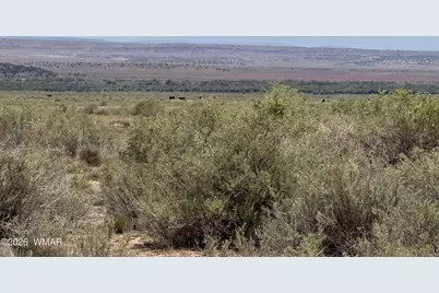 G-Barranch Lot 34, Saint Johns, AZ 85936 - Photo 14