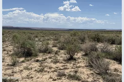 G-Barranch Lot 34, Saint Johns, AZ 85936 - Photo 8